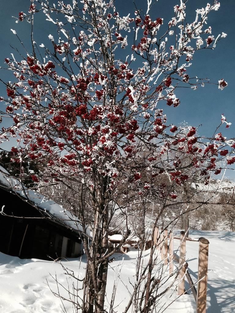 Nellen - 2C7EE771-A7FD-4F4E-A1DF-CB3FD4CA0A06