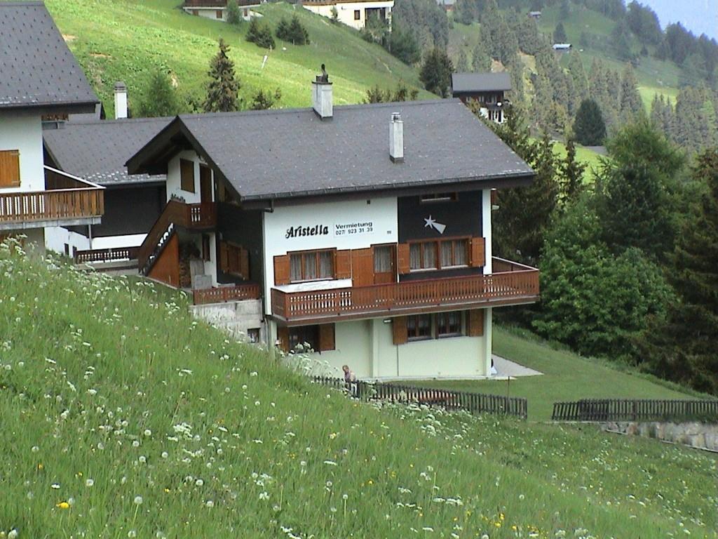 Aristella 1. Stock - Aussenansicht Sommer 2
