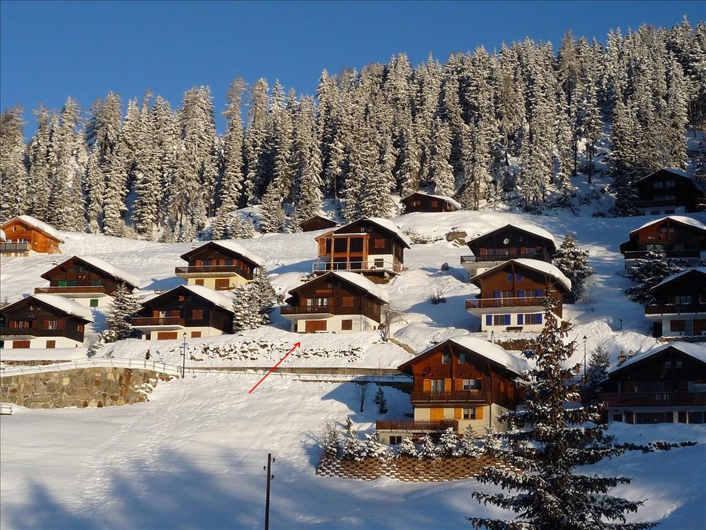 Spatzennest UG - Spatzennest