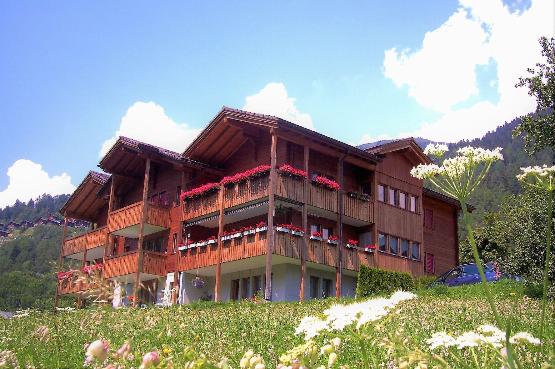 LuxLax 2. OG Süd - Luxlax im Sommer