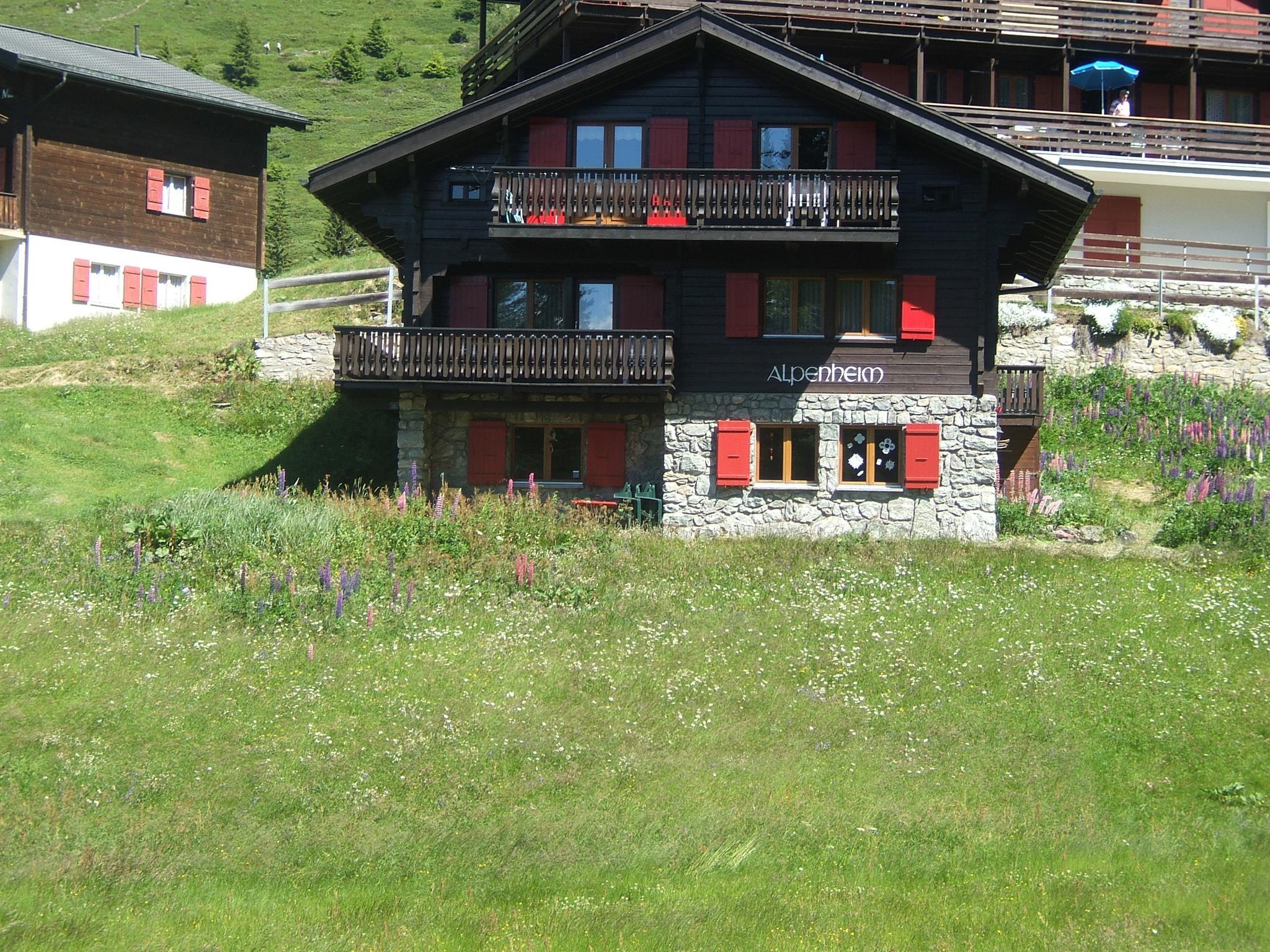 Alpenheim 2. Stock - Alpenheim 035