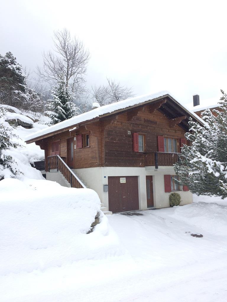 Bergföhre UG - Winter