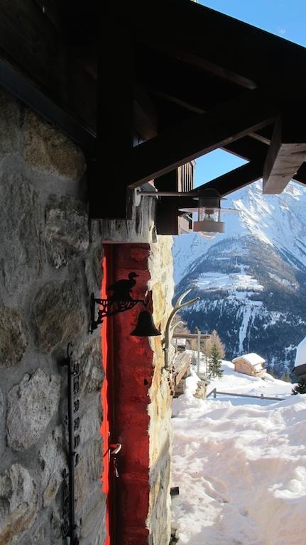 Bergpieper Parterre - IMG_1171