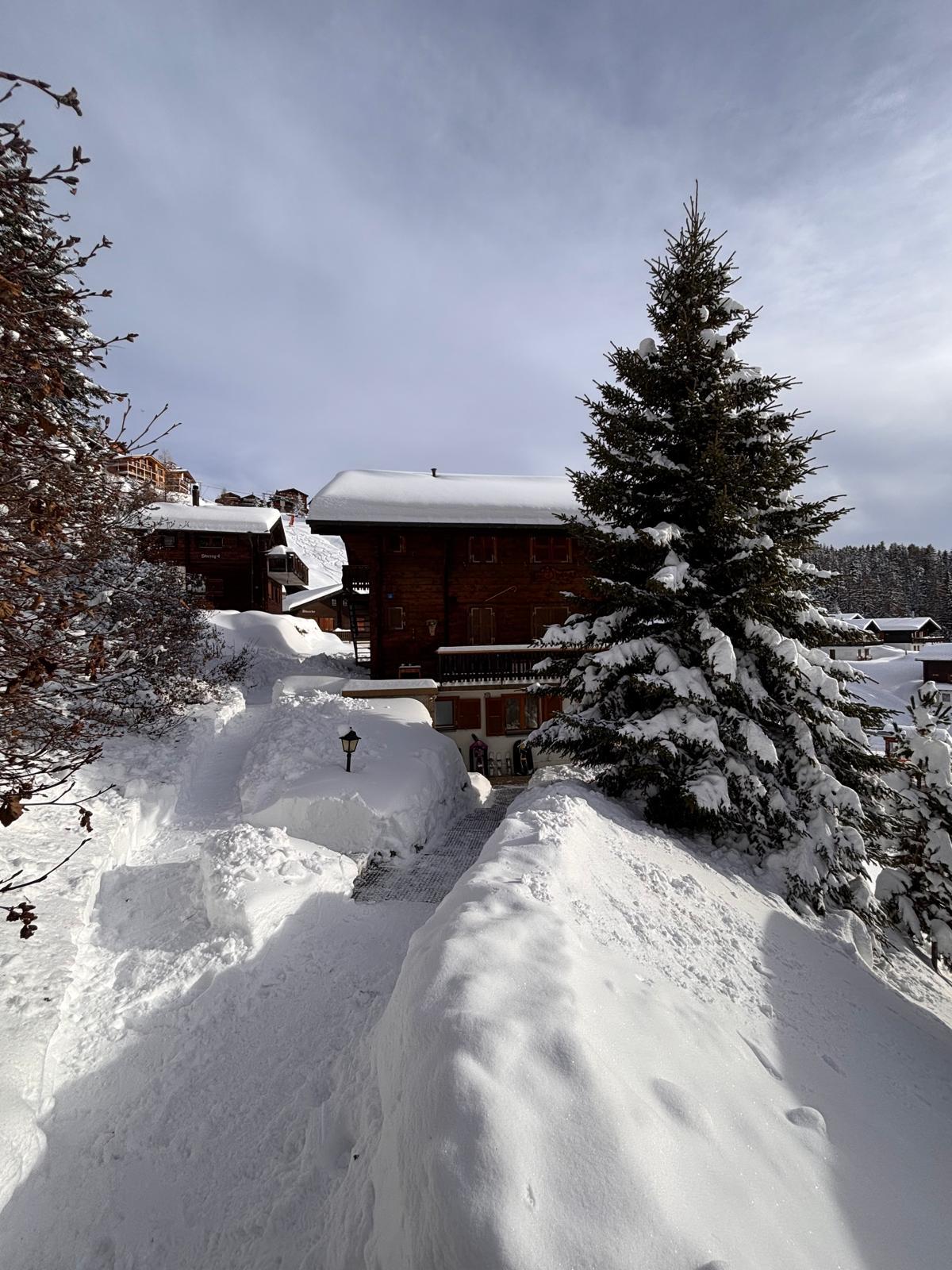 Am Sonnenhang UG Süd - WhatsApp Bild 2025-01-06 um 14.05.34_36f8e930