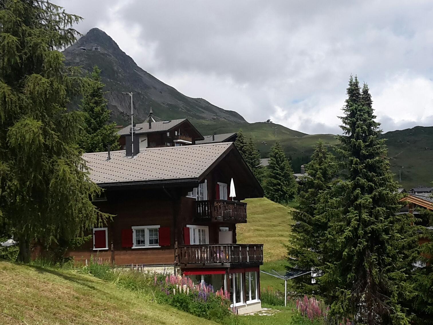 Rosmarie 1. Stock Süd - 2020-07-17 22.05.01