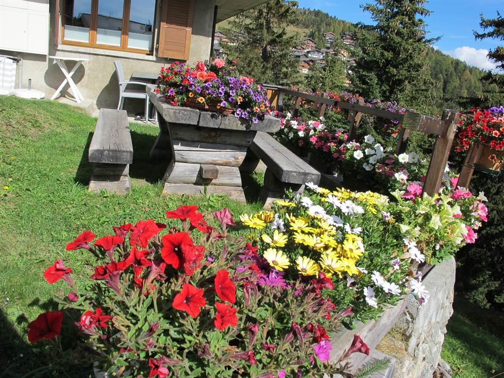 Sonnhalde 1. Stock Süd-West - Platzi2