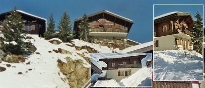 Harmony (Guntern) - Harmony