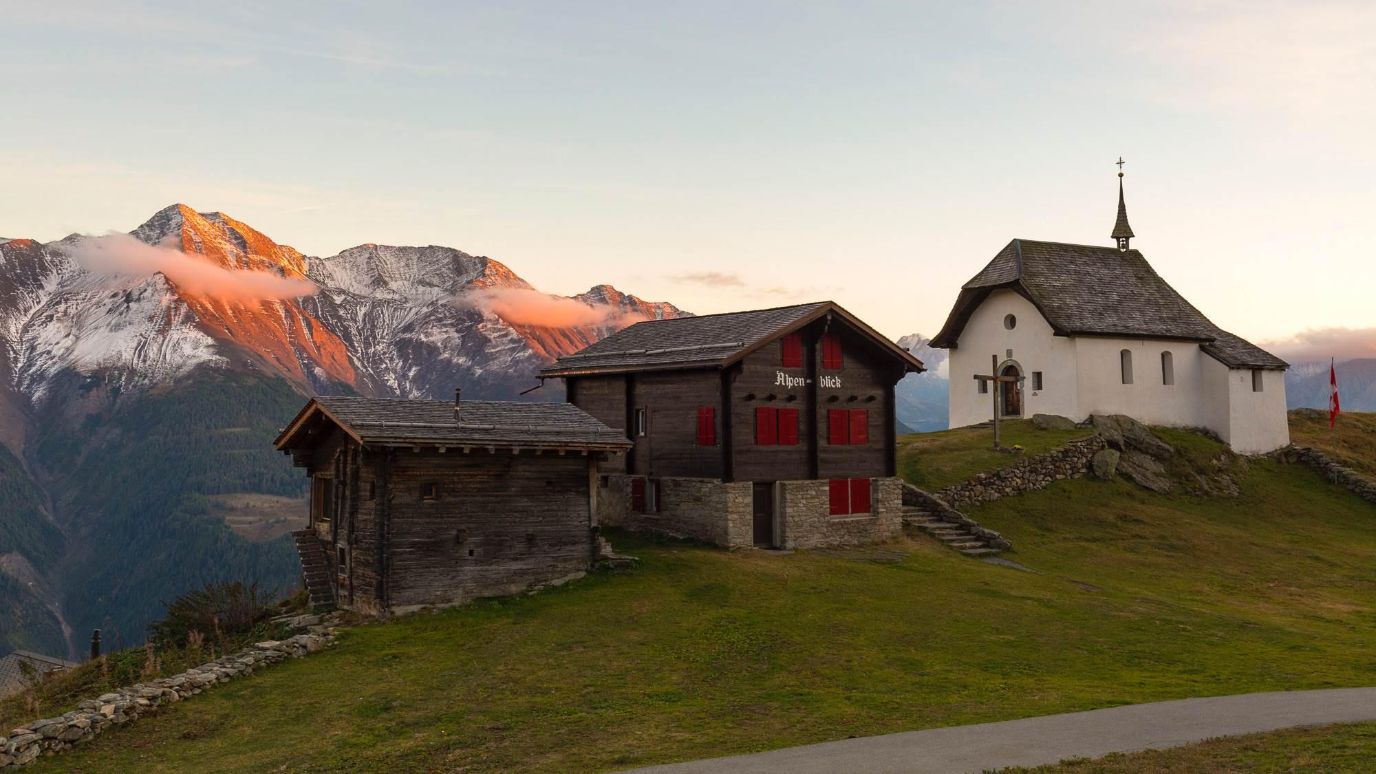 Bergveilchen - Iher Aussicht