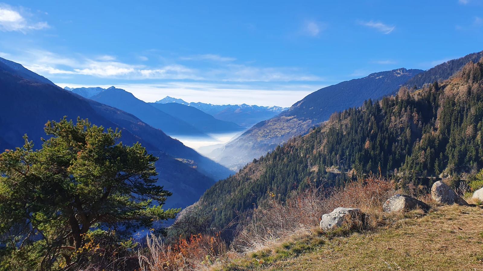 Thermik 3 1. OG Süd - Bergpanorama