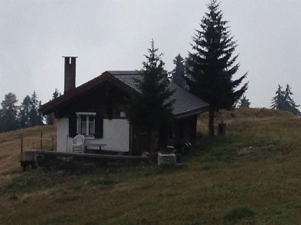 Sennhütte - IMG_3801
