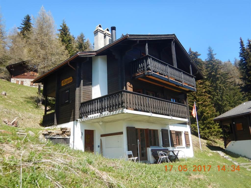 Thomson OG Süd-West - Haus