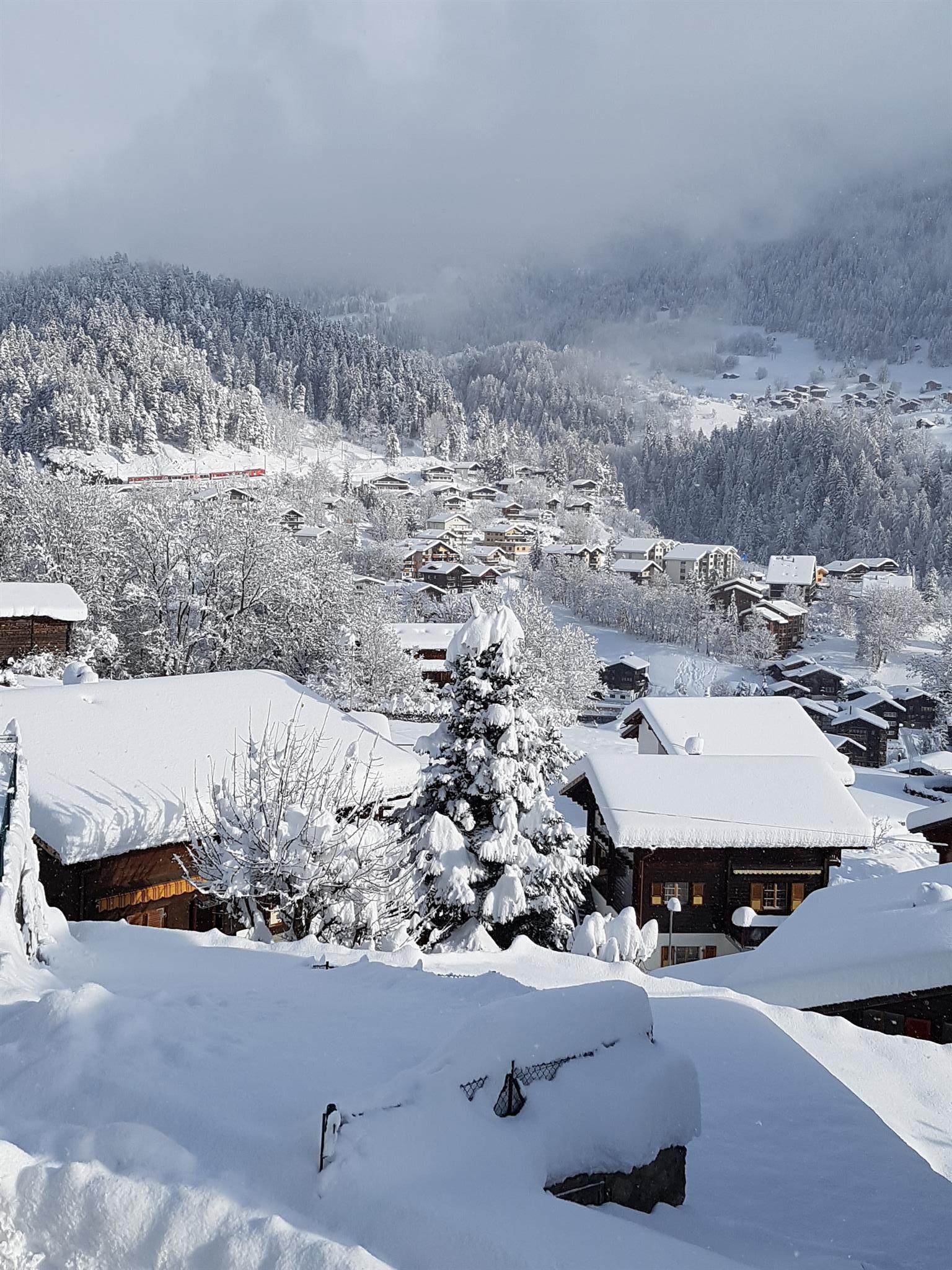 Träumli Studio - Aussicht Dorf Fiesch