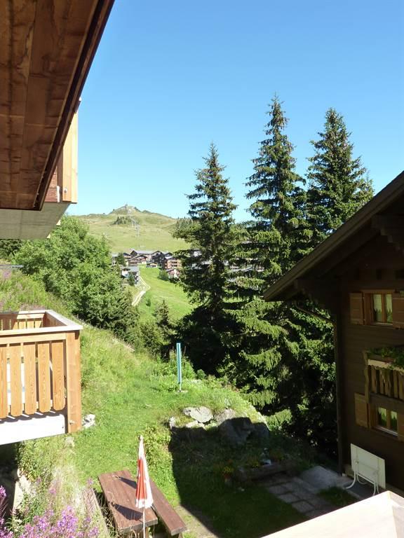 Kaktus 4 Bett - Aussicht Parterre Ostseite Sommer