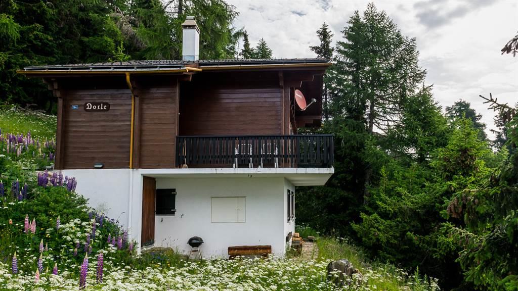 Dorle Skolido - DSC_6410_fotoweb15