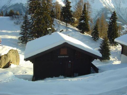 Meerschweinchen - Aussenansicht  Winter 2