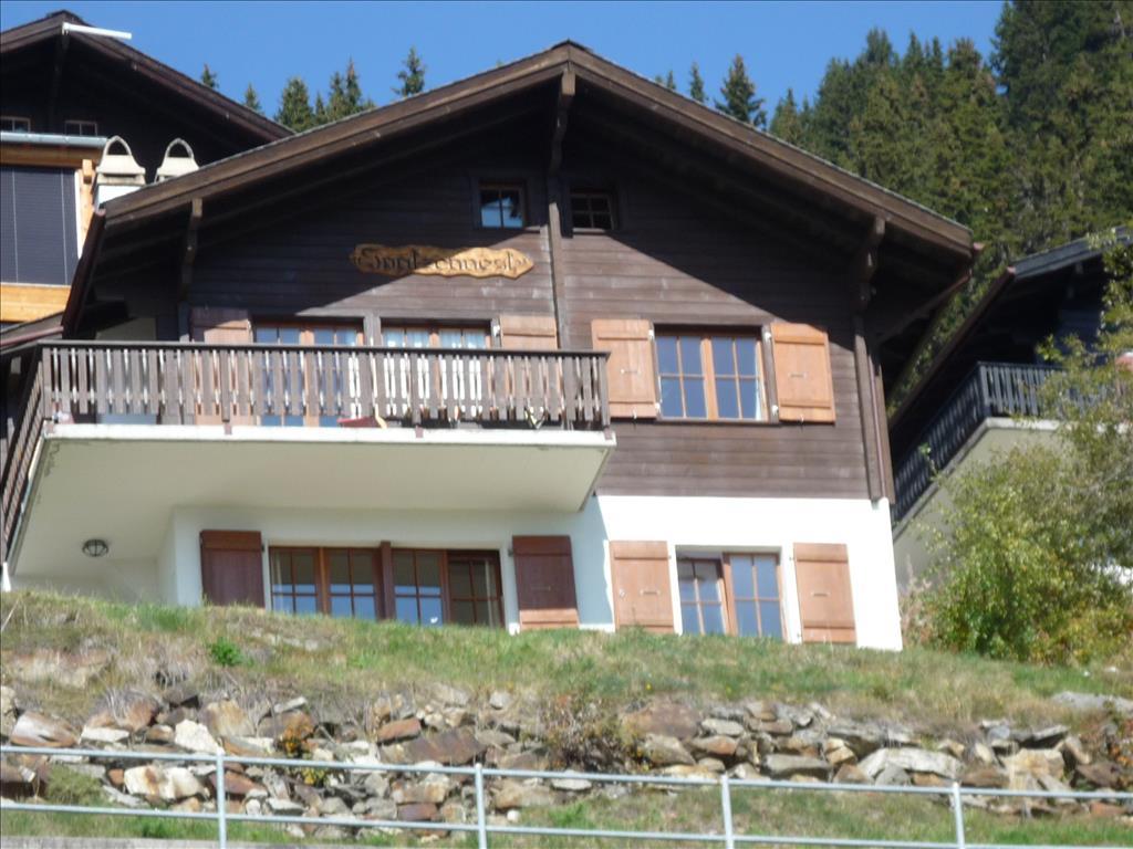 Spatzennest UG - Aussenansicht Sommer