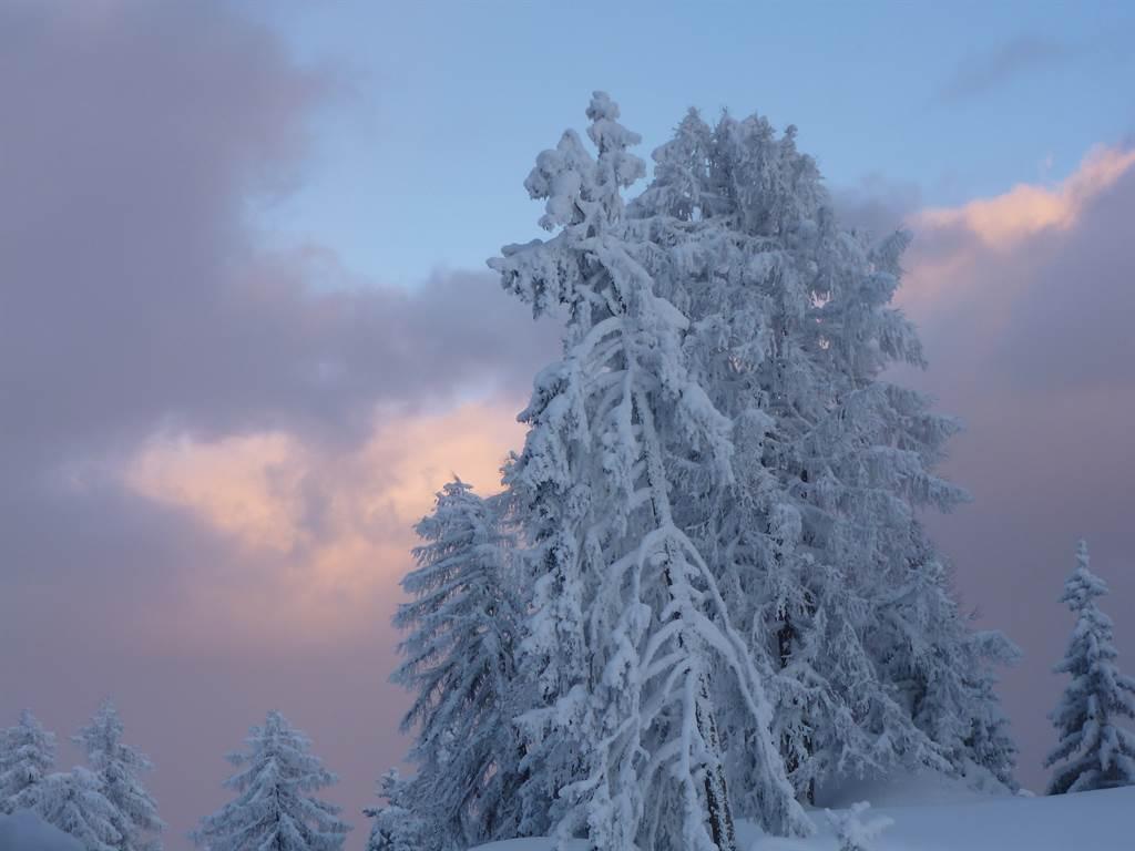 Olympia 2 Zimmerwohnung - Winterlandschaft