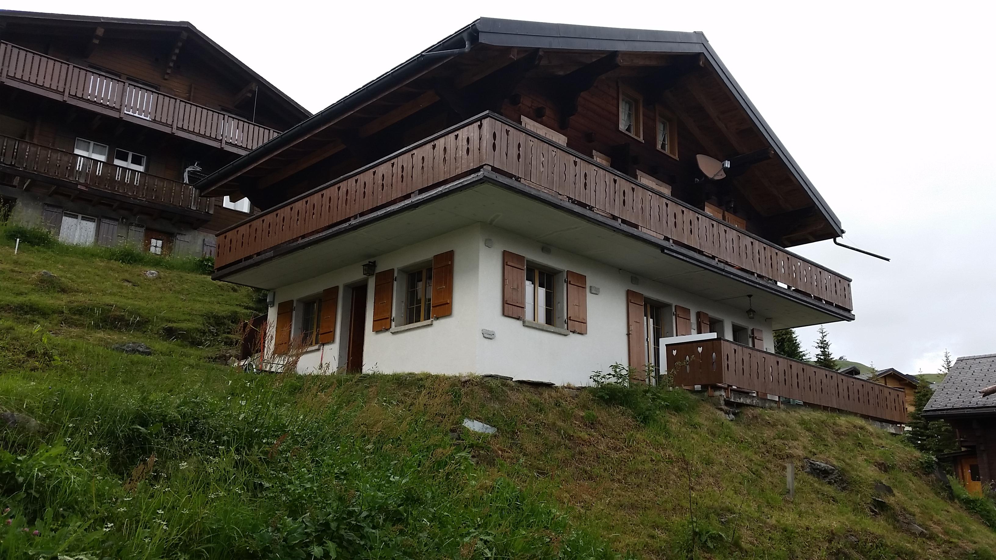 Parnassia EG - Parnassia