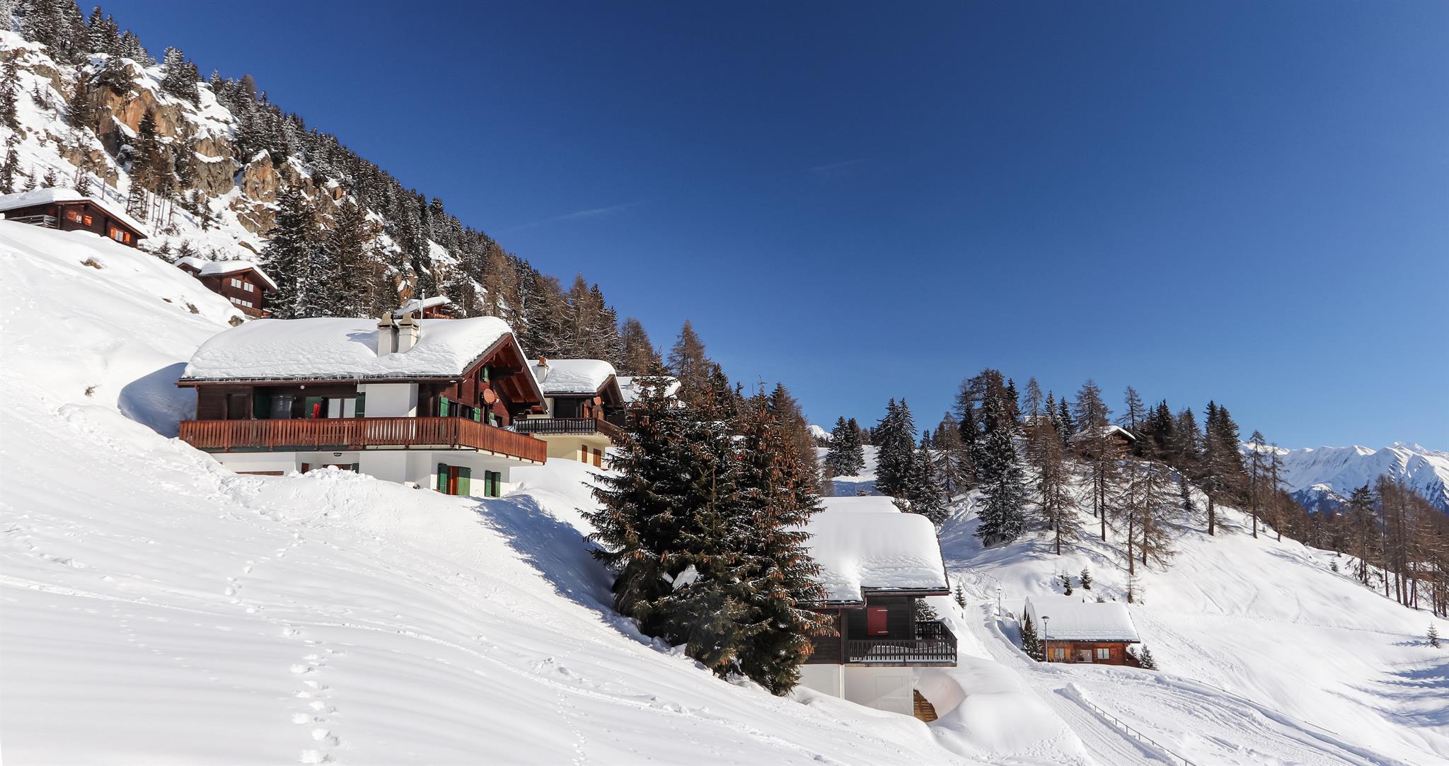 Carpe Diem - IMG_7049-2