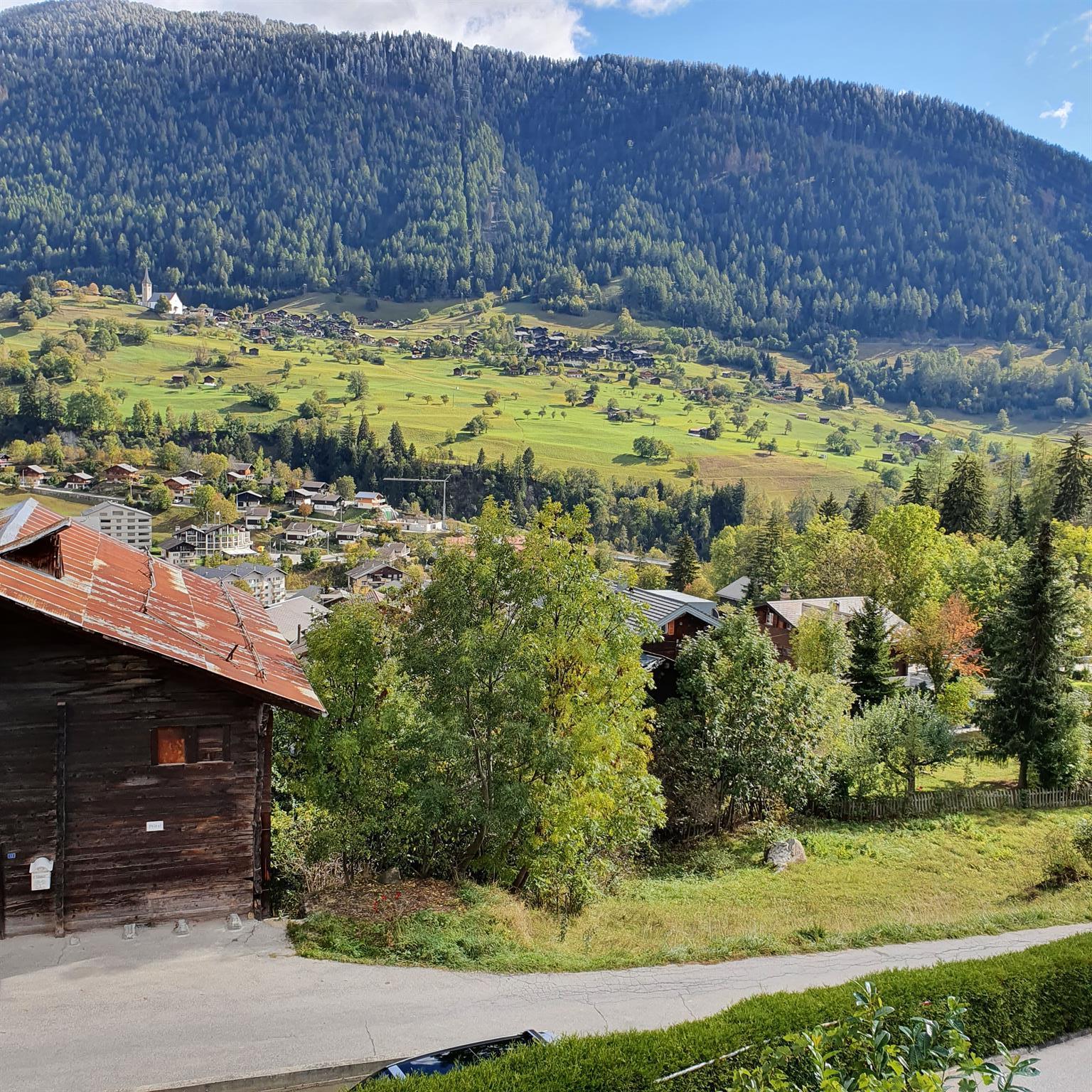 Träumli - Aussicht Sommer
