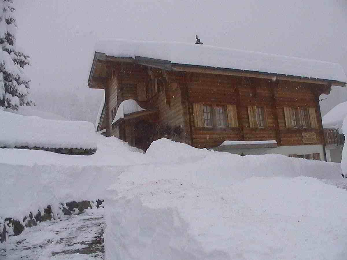 Abendgruss 1. Stock Ost - Aussenansicht Winter 2