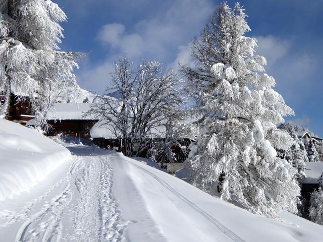 Bergkristall - Chalet von Weitem