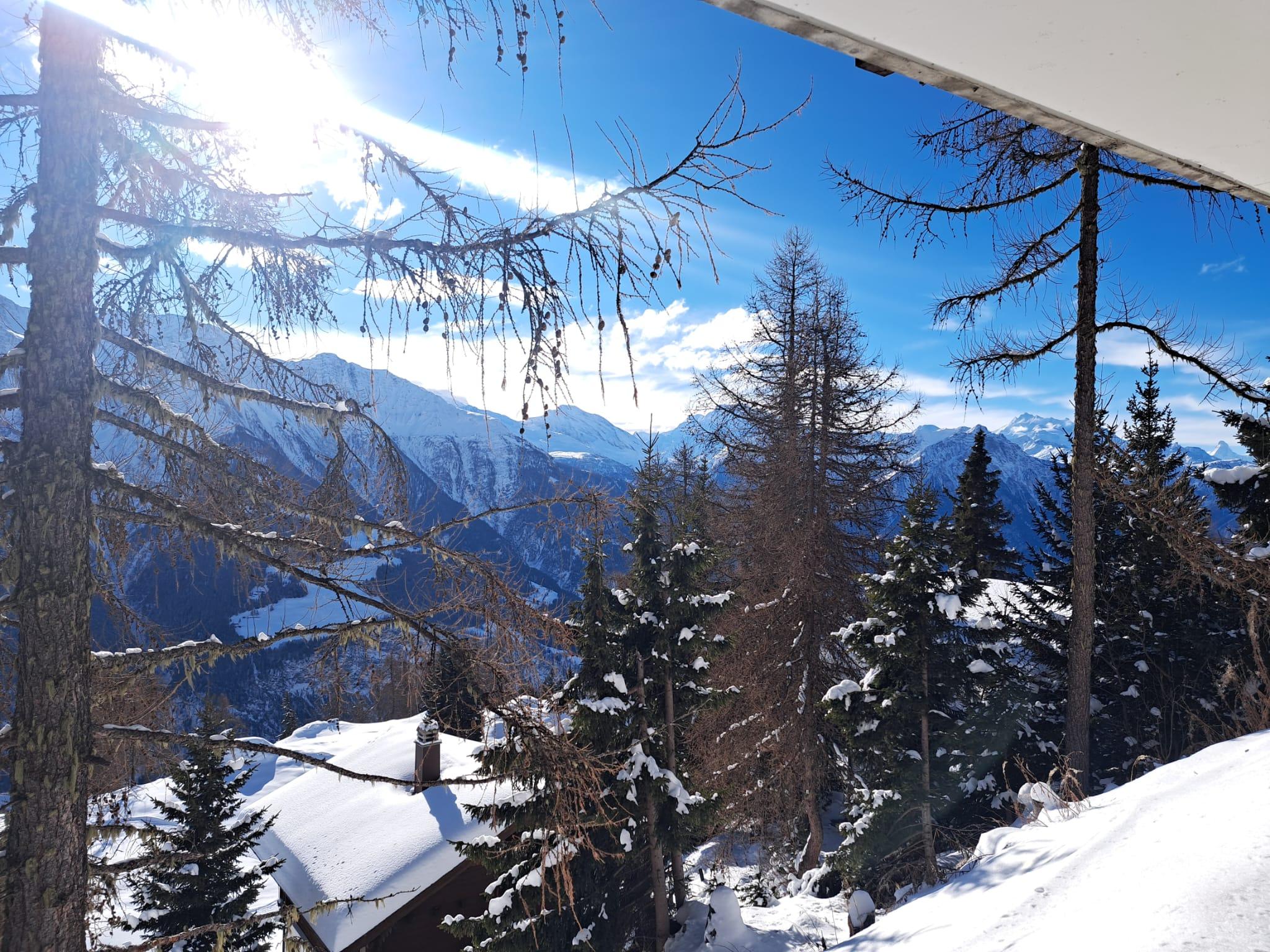 Jonas Parterre - IMG-20230124-WA0004