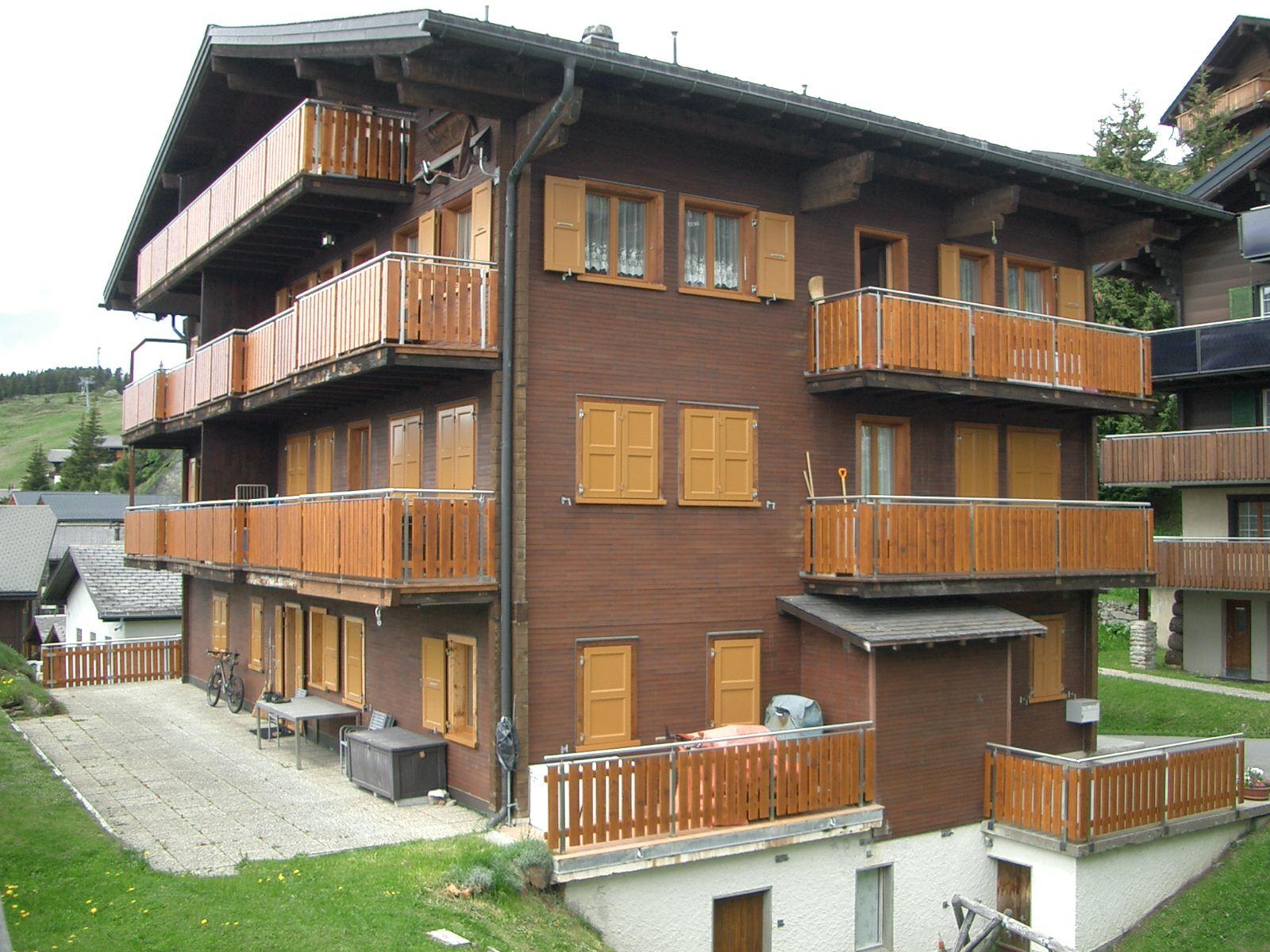 Aster (Summermatter-Minnig) - Aster Südseite