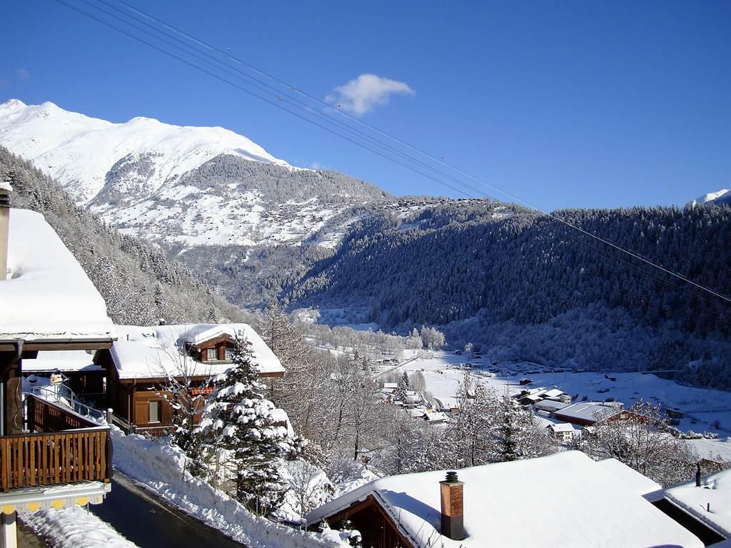 Stachelbeere OG Süd - DSC00618