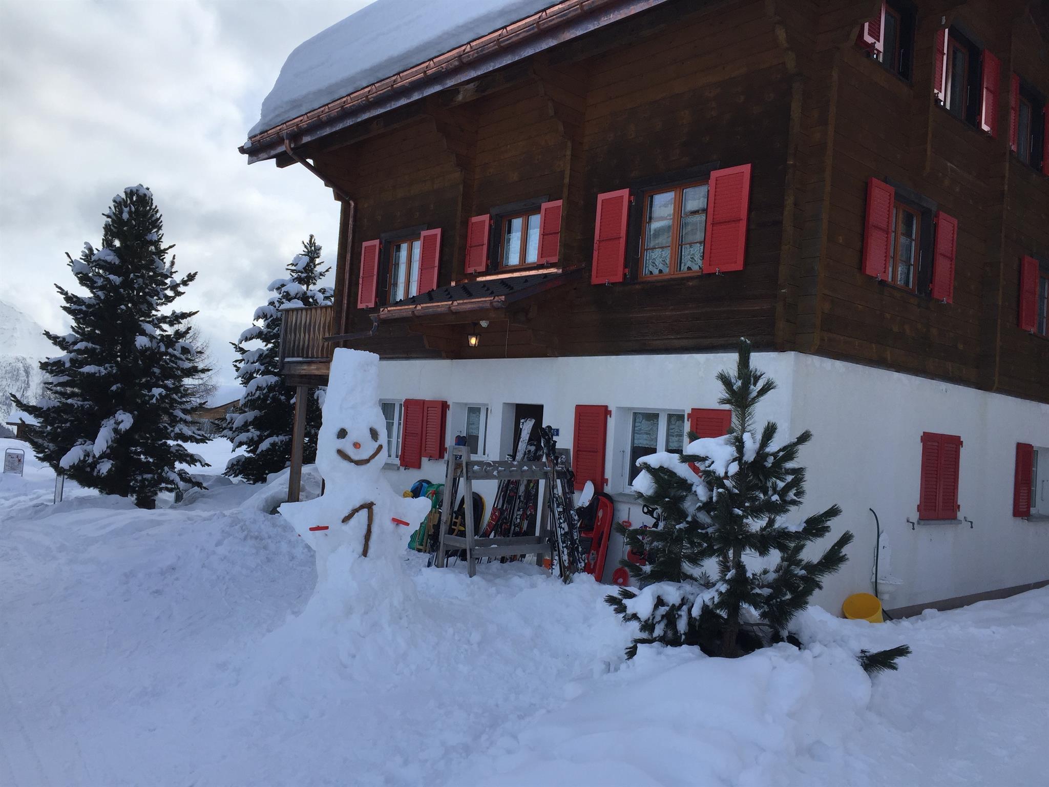 Bergblume 2. Stock - Aussenansicht