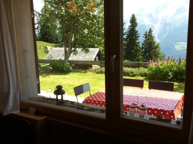 Alpenstern Parterre - Foto5