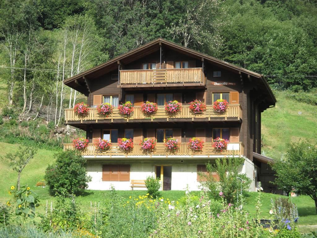 Bamatta - Haus Sommer