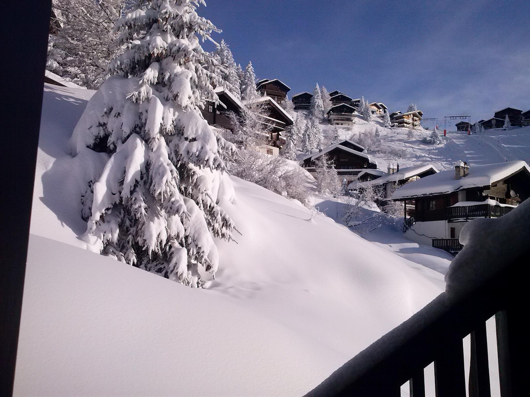 Kleeblatt - OG - Ausblick Küchenfenster