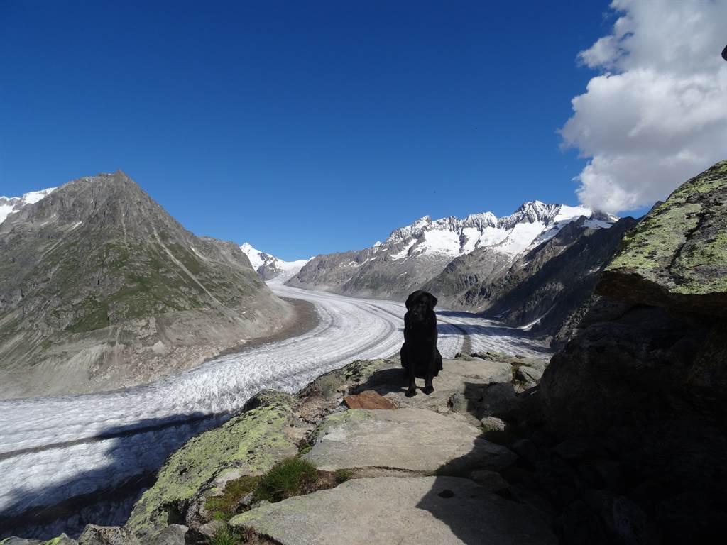 La Montanara 1. OG West - Gletscher im Sommer