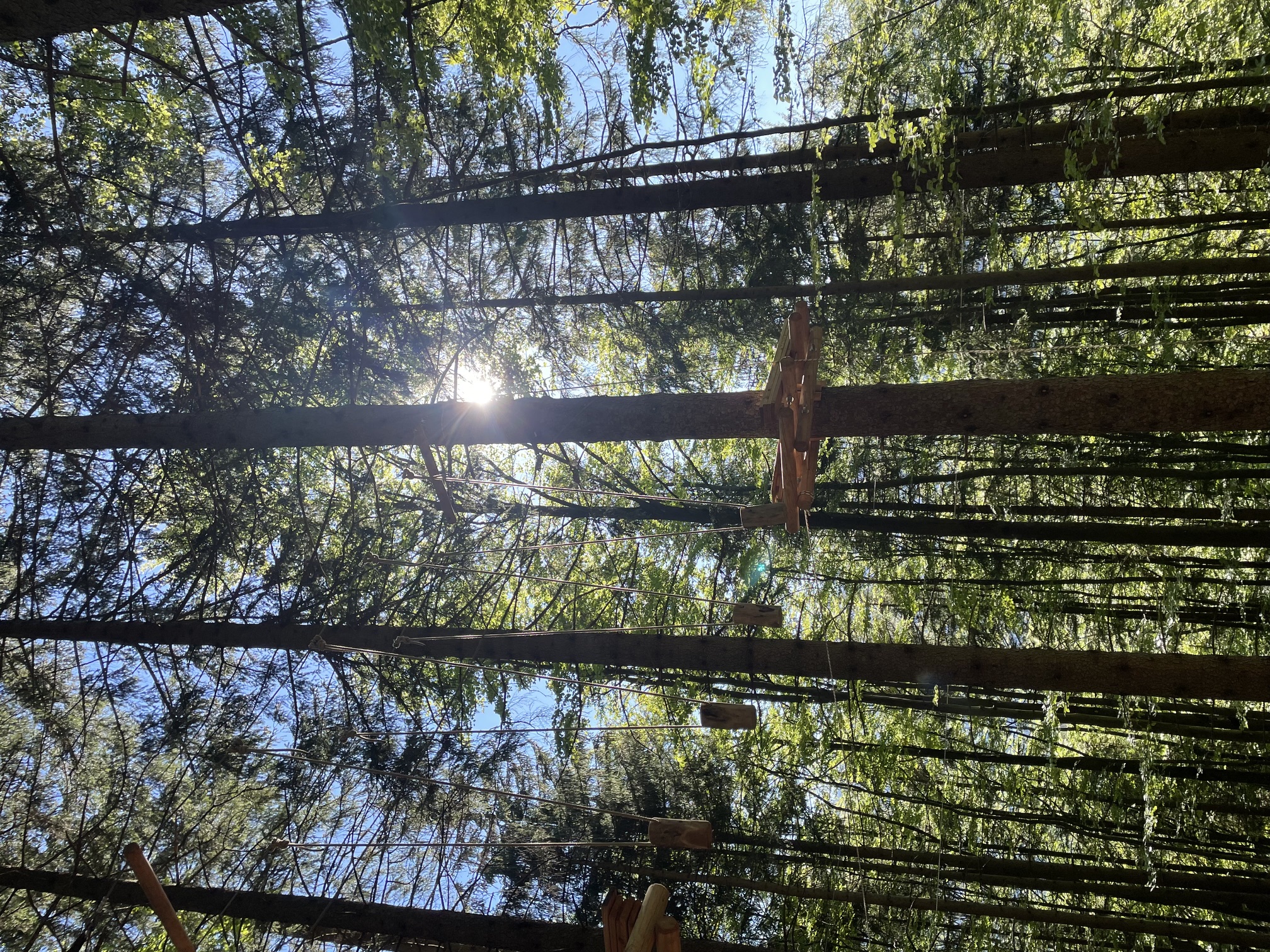 Kletterwald