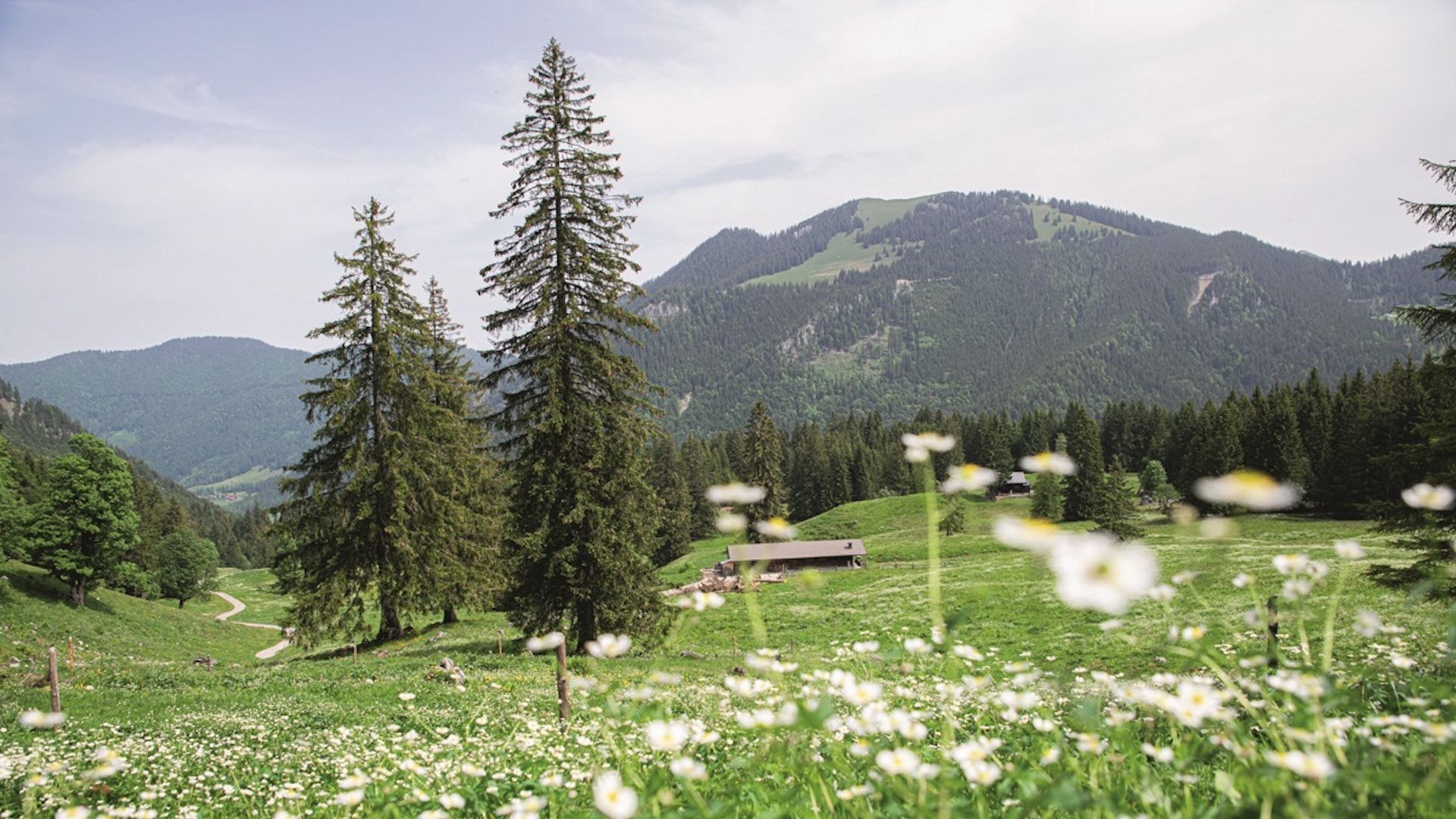 Atementspannung - Audioguide