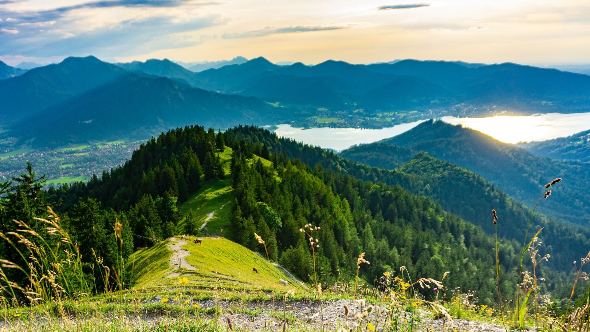 Naturklänge – Audioguide