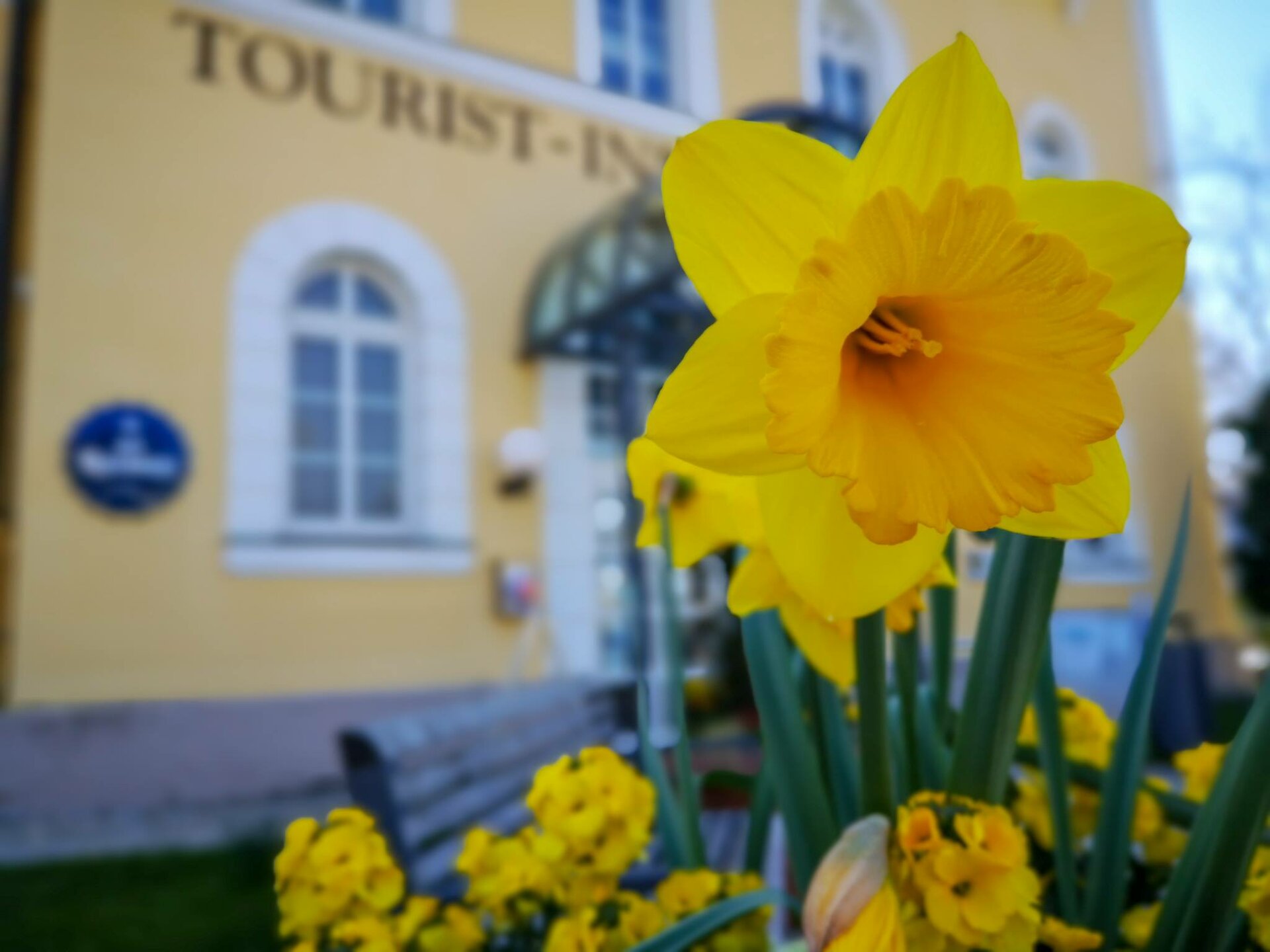 Tourist-Information Tegernsee