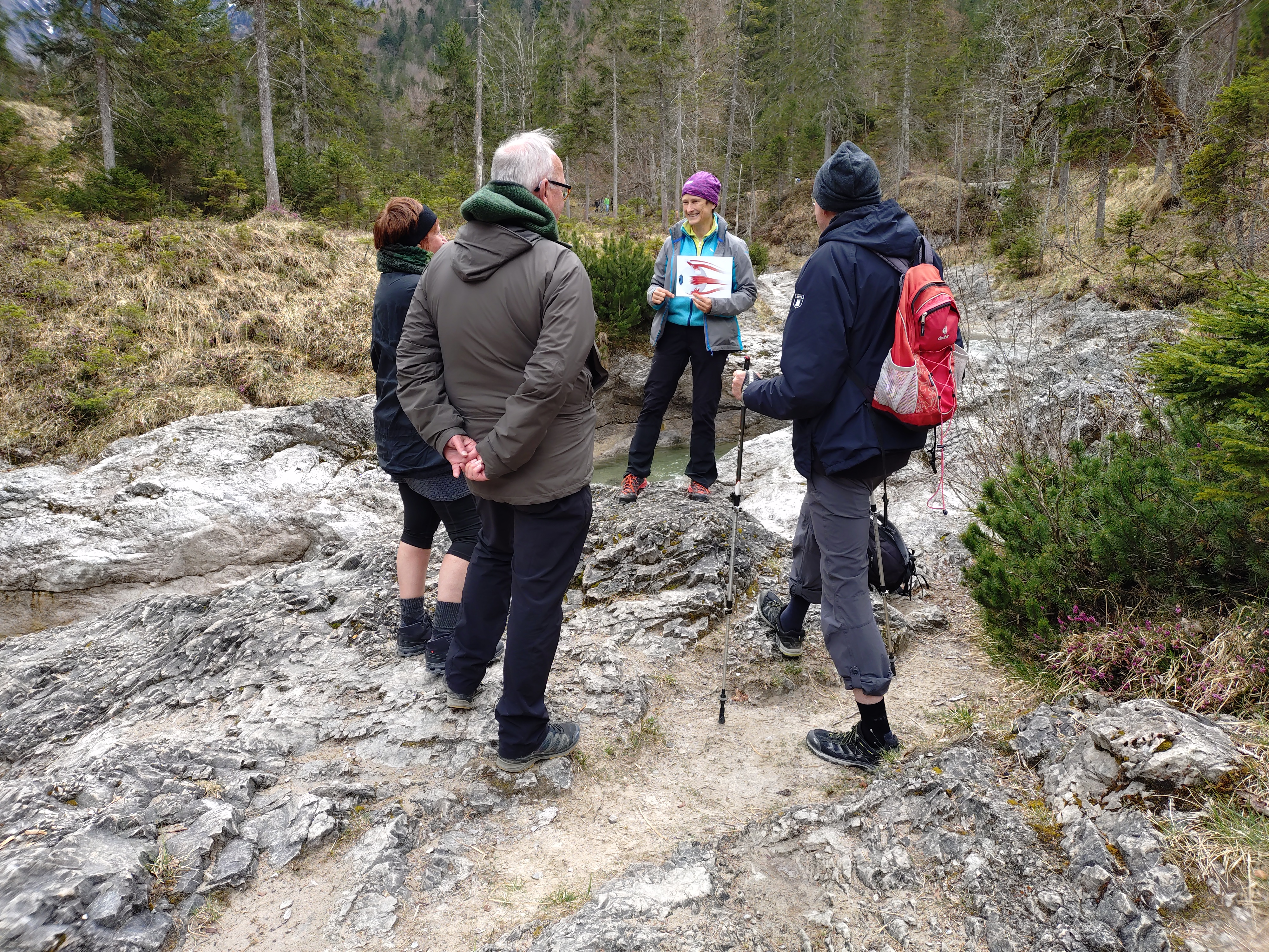 So funktionieren die Augen