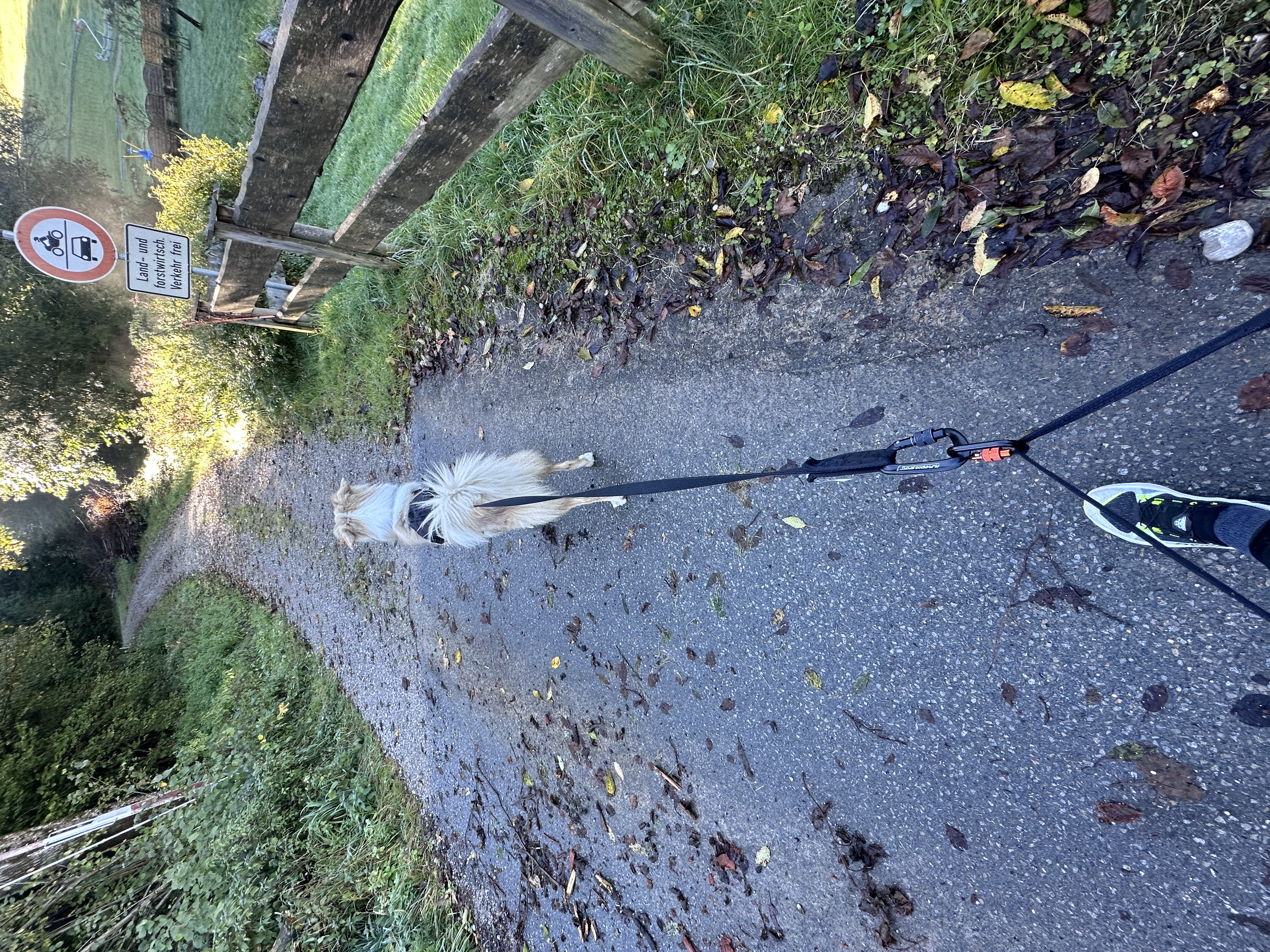 Caniwalk