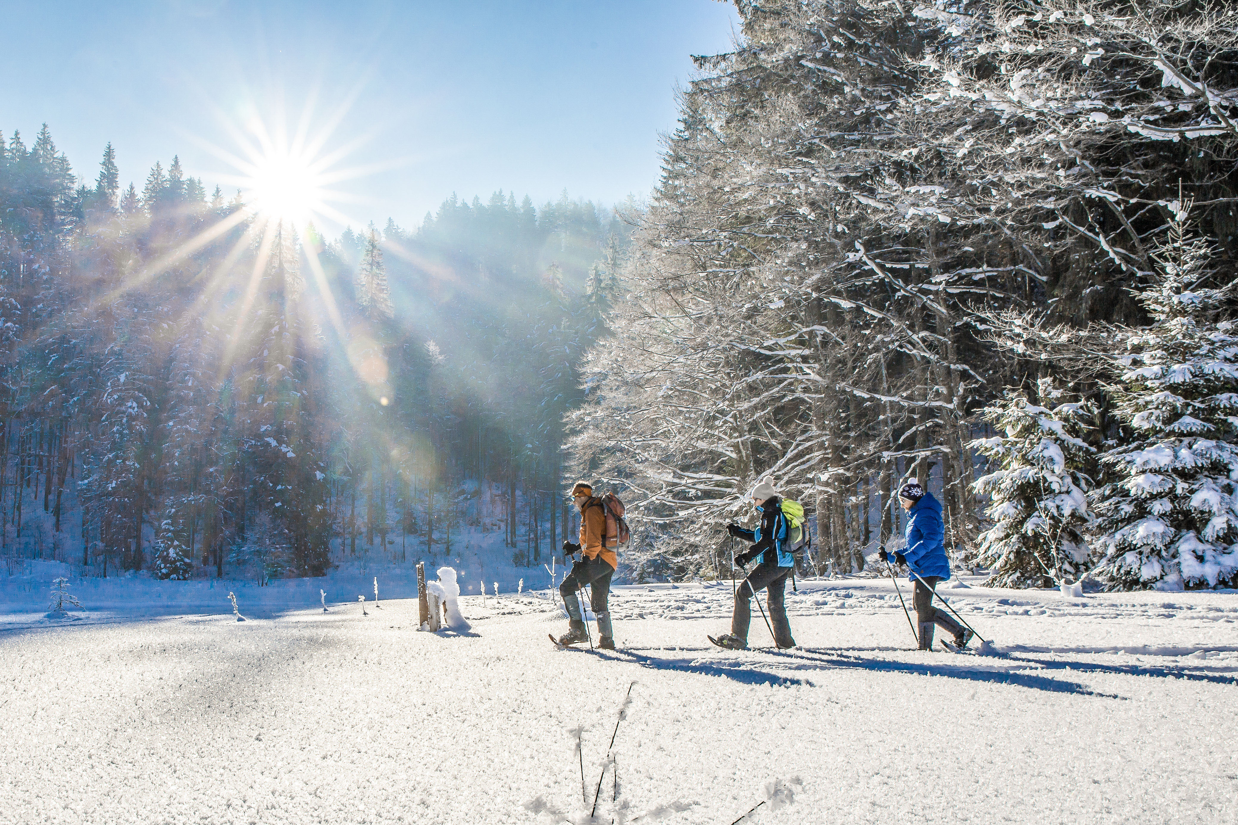 Schneeschuhwanderung