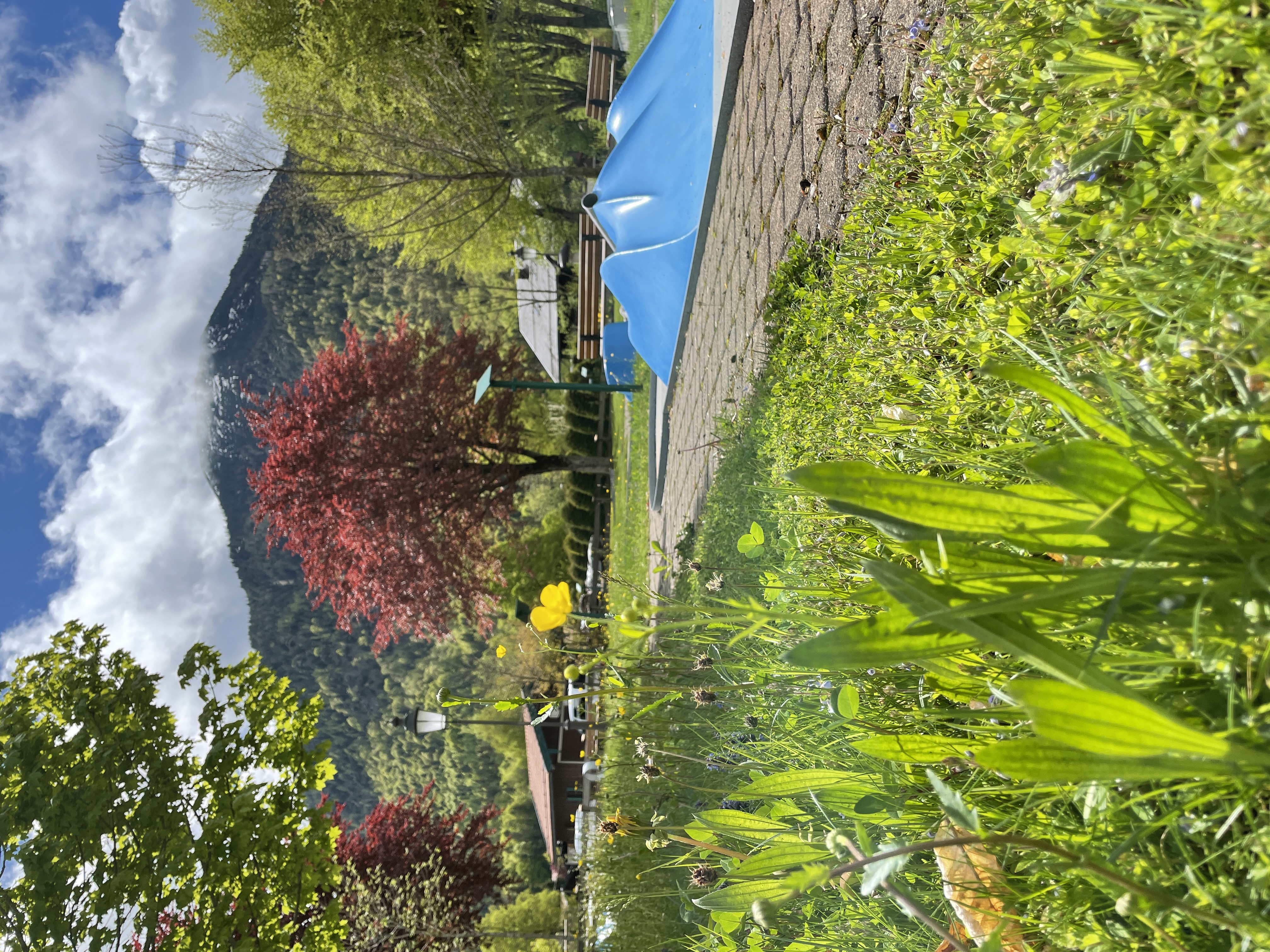 Minigolfanlage
