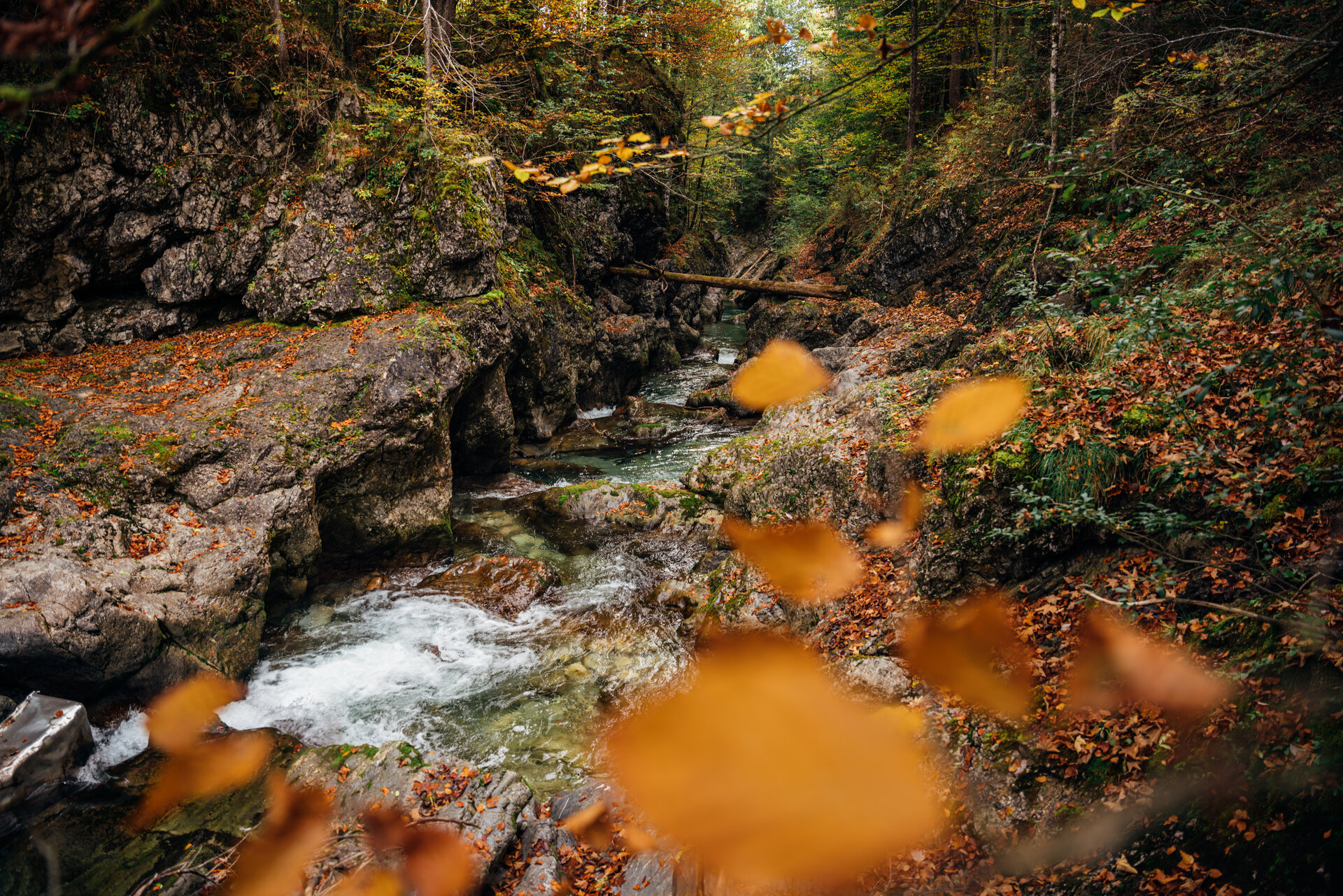 Führung durch das Schwarzenbachtal 