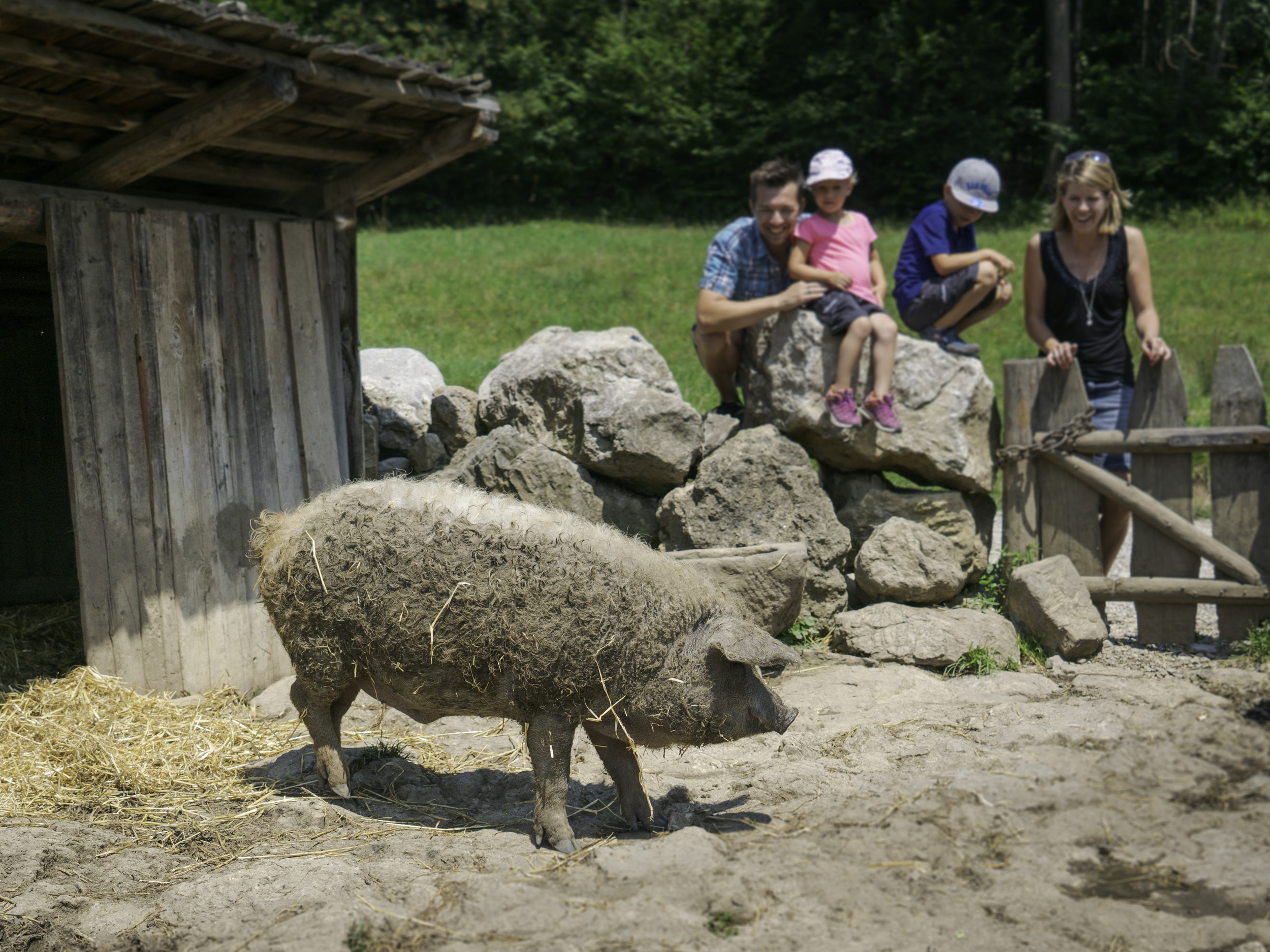 mys-Markus Wasmeier Freilichtmuseum Schliersee-Markus Wasmeier Freilichtmuseum Schliersee