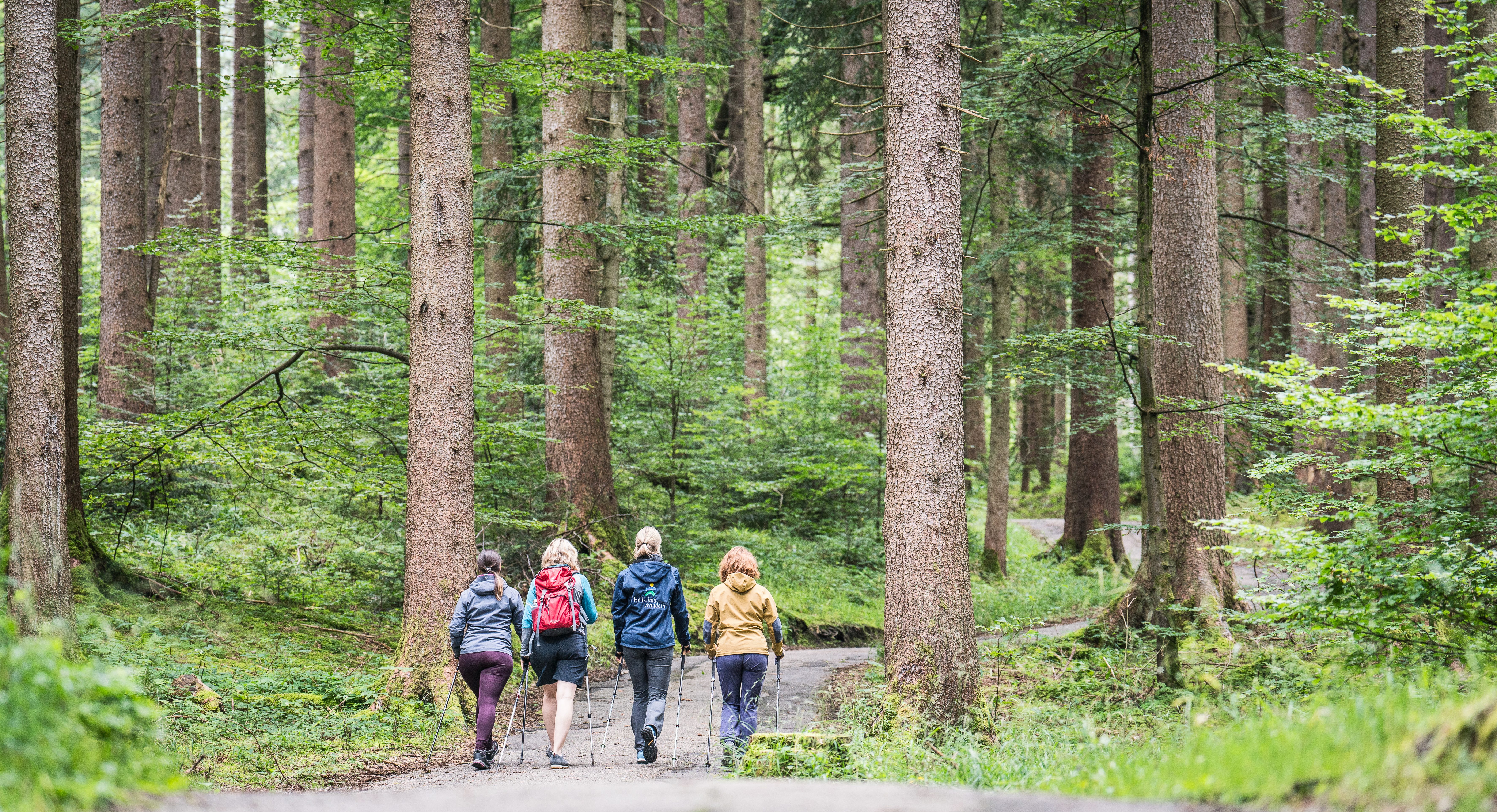 Heilklimawandern