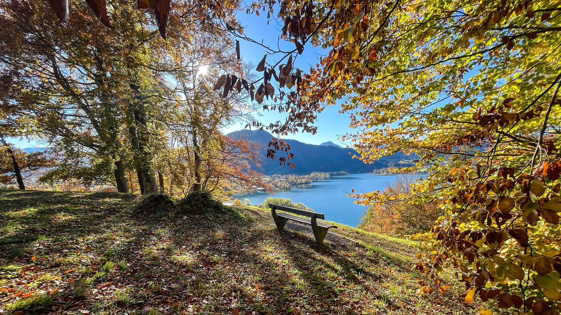 Körperreise – Audioguide