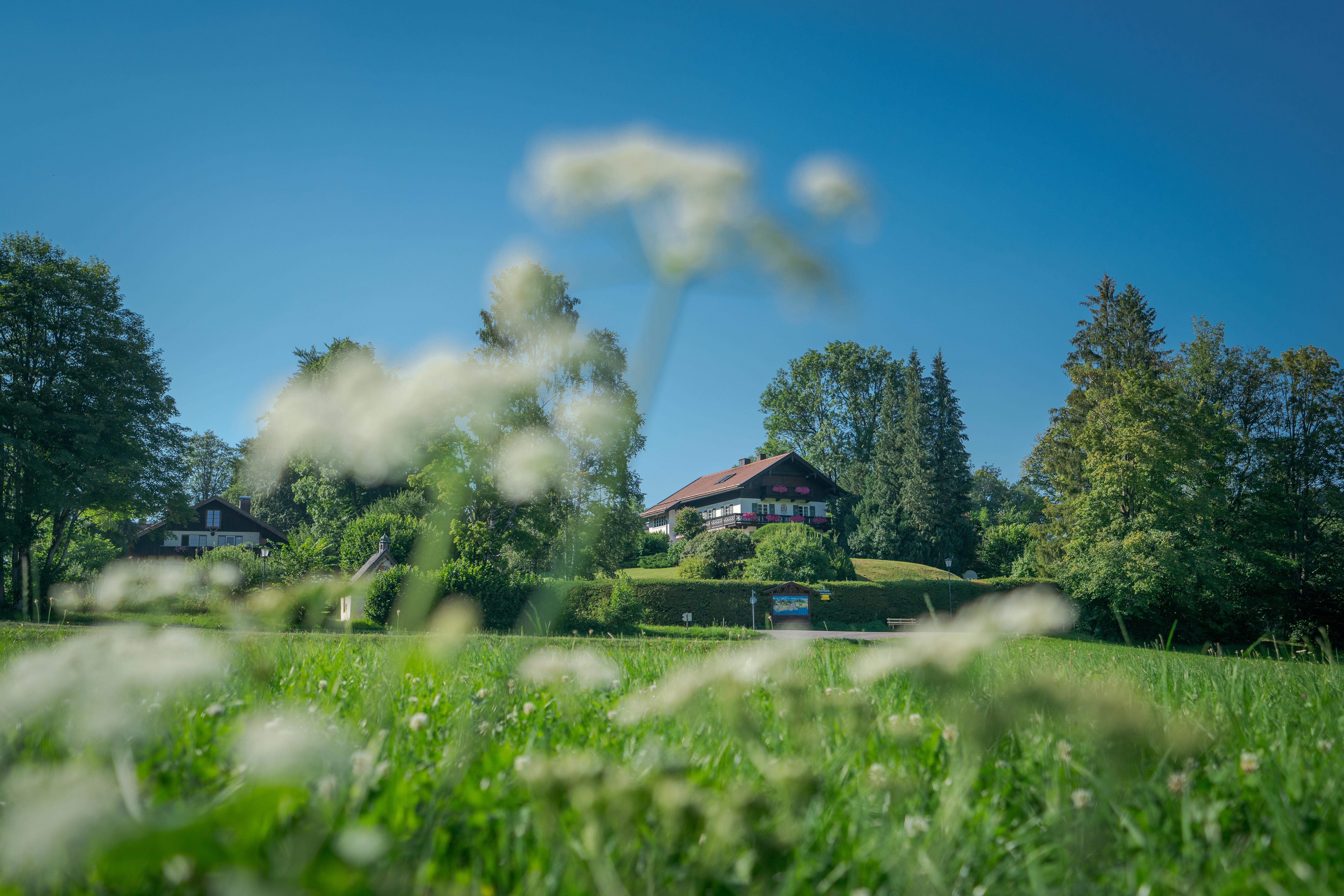 Wanderung Wiesseer Ortsteil Holz