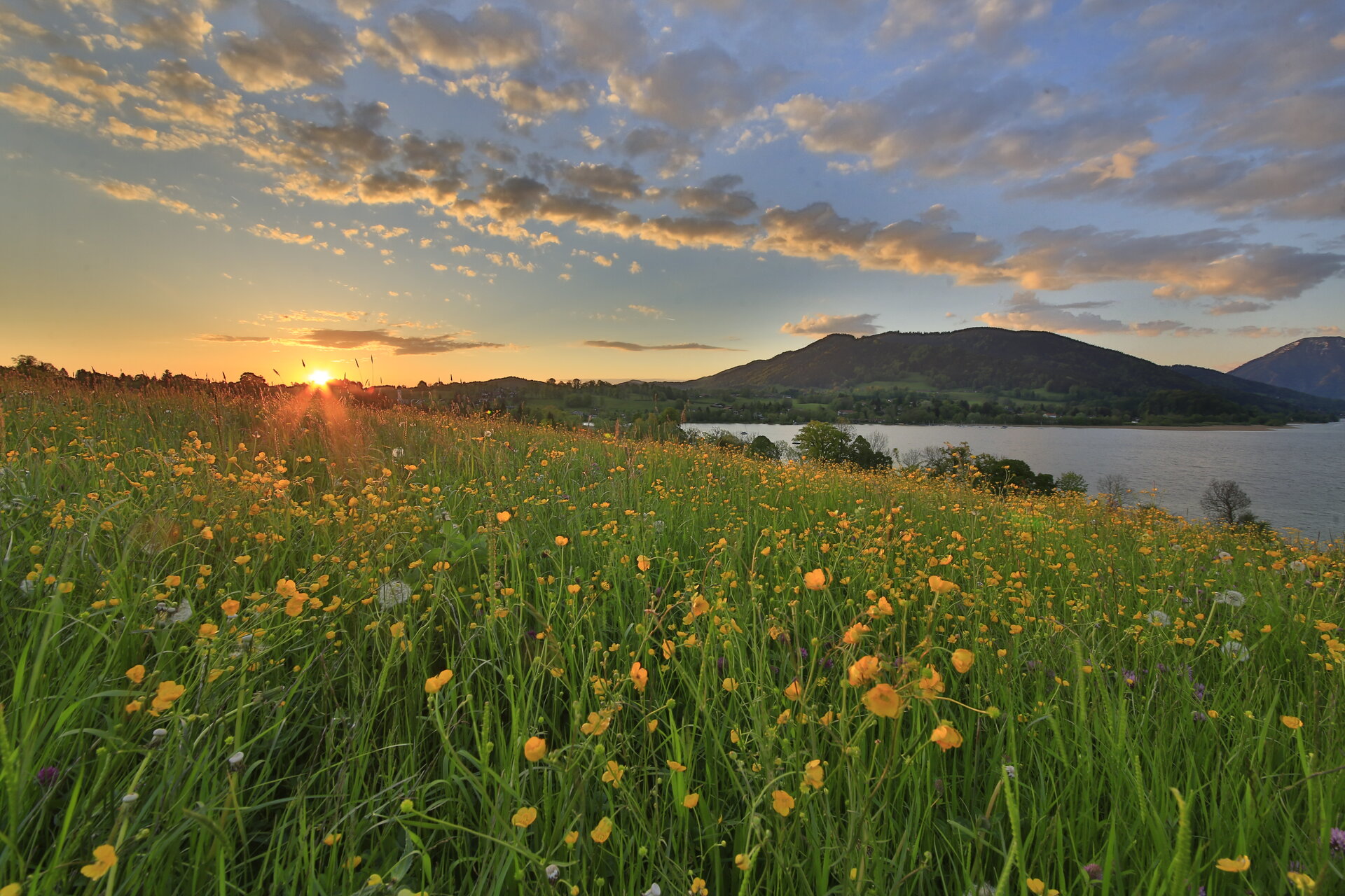 Erlebniswanderung - Frühlingserwachen