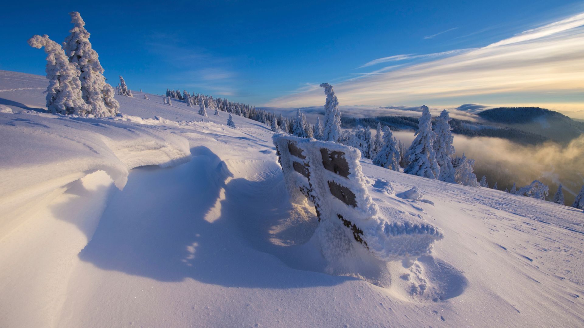 Schneelandschaft mit schneebedeckter Bank auf dem Feldberg
