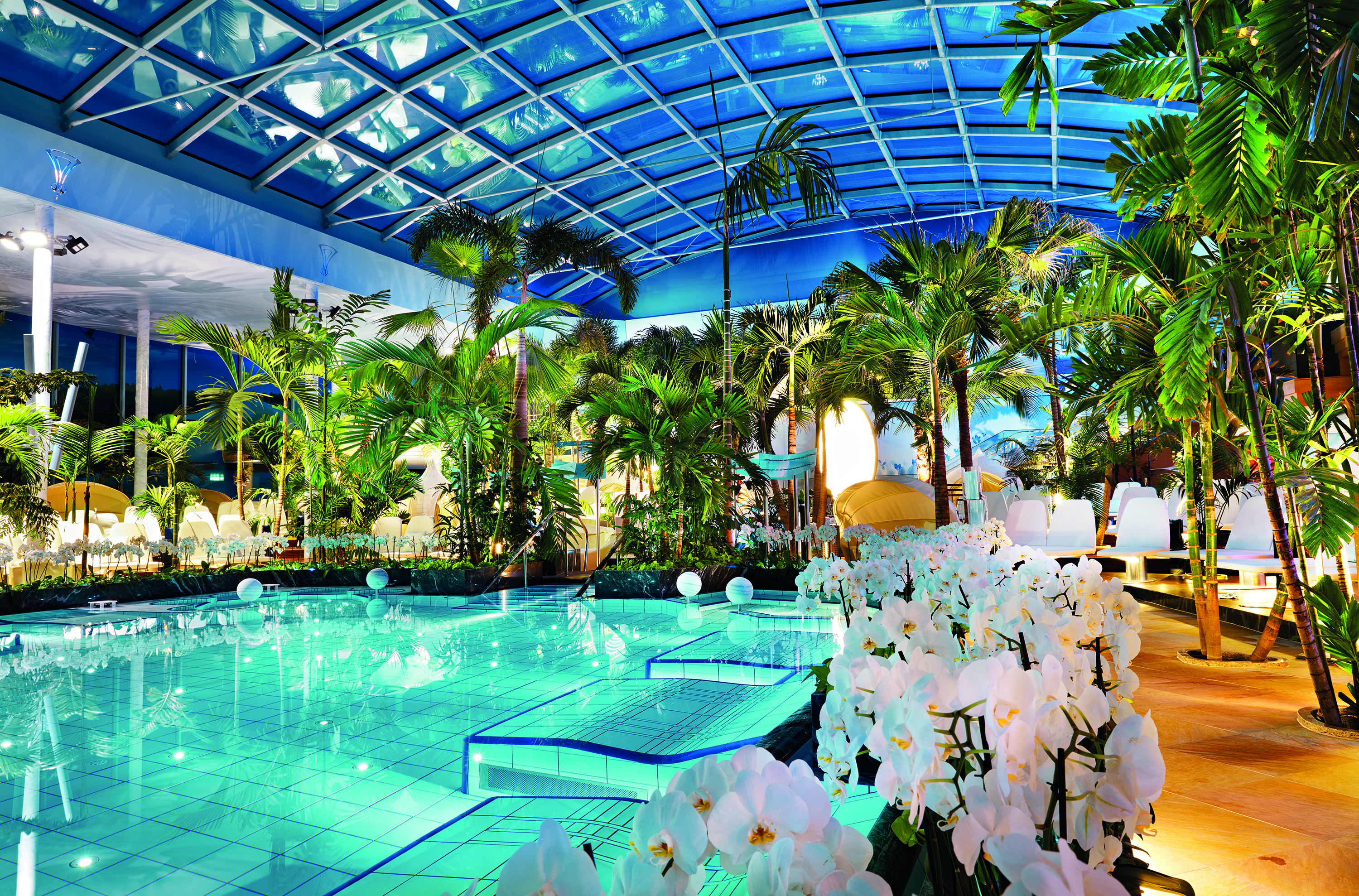 Palmenoase im Badeparadies Schwarzwald